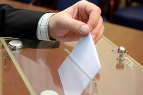 Image: Member voting
